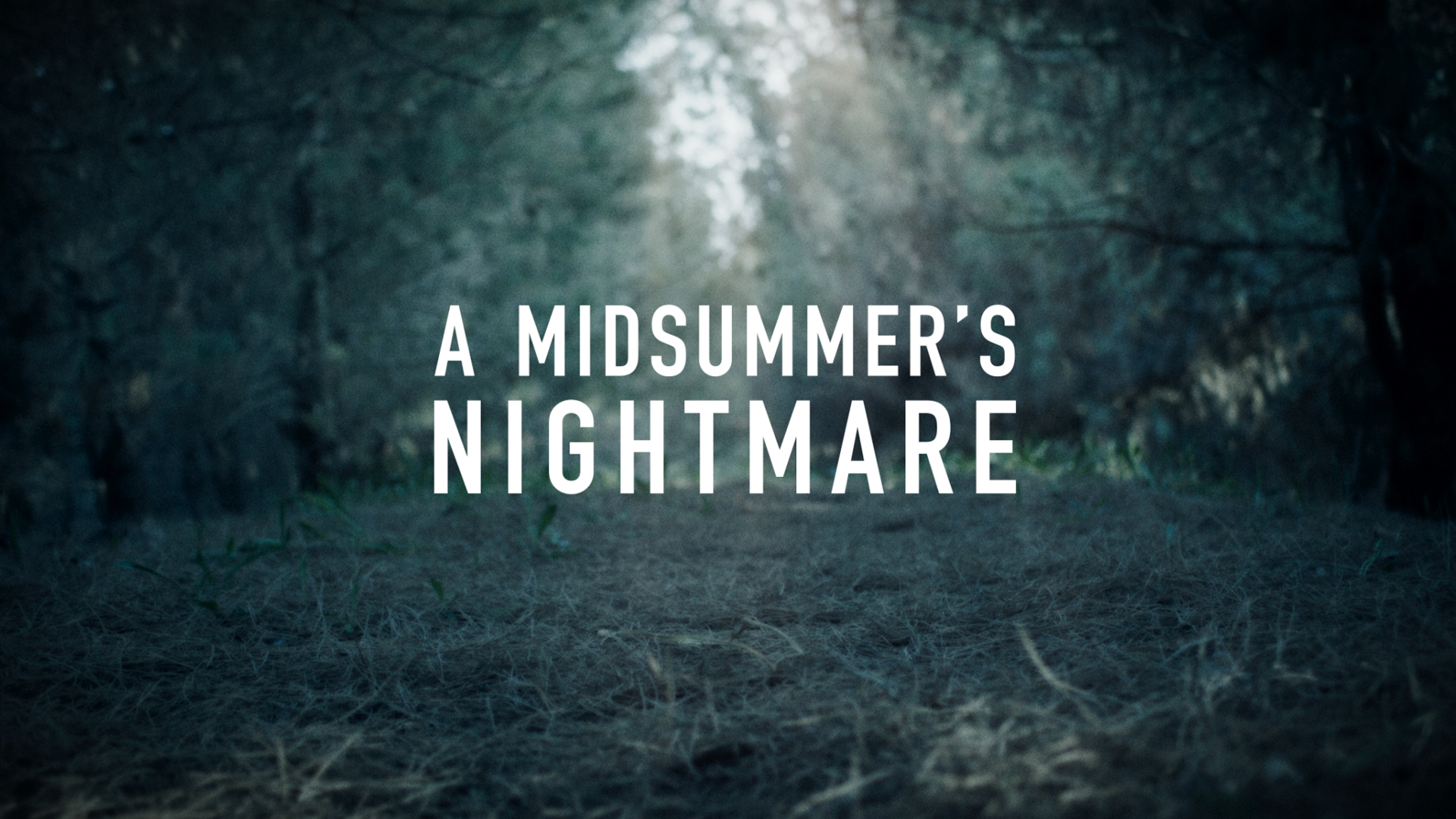 A MIDSUMMER’S NIGHTMARE